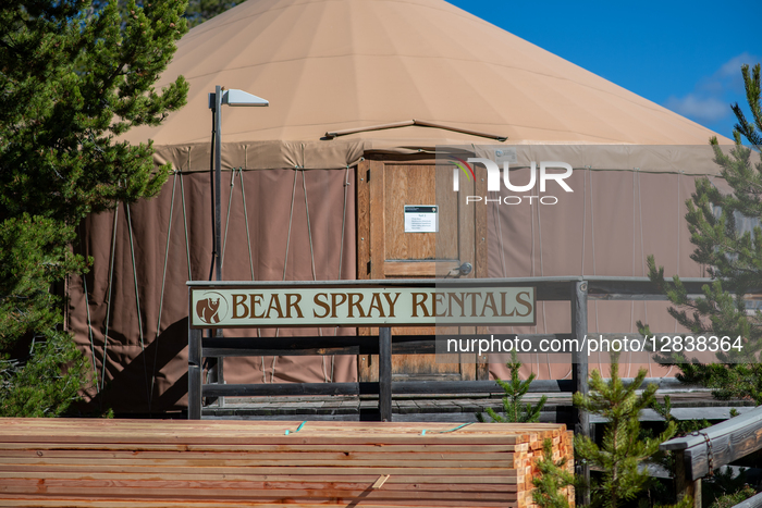 Yellowstone National Park