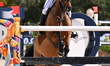 Edwina Tops-Alexander (AUS) rides Fellow Castlefield in the Longines Global Champions Tour...