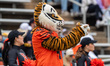 Tiger, the Princeton Tigers mascot, appears during a game at Princeton Stadium. 