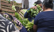 The Argentine Agri-Food Roundtable holds a food giveaway in Plaza de Mayo, Buenos Aires, A...