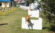 A Nepal Police service dog takes part in a sporting event during the Kukur Tihar celebrati...