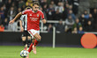 Amar Dedic of S L Benfica drives forward during the UCL League Stage match between Newcast...