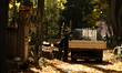 In Krakow, Poland, on October 23, 2025, people clean graves at Rakowicki Cemetery during p...