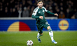 Panathinaikos FC midfielder Adam Gnezda Cerin plays during the match between SC Feyenoord...