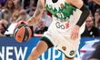 Deividas Sirvydis of Zalgiris Kaunas is in action during the EuroLeague Regular Season Rou...