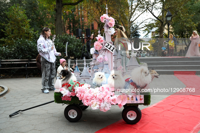 Washington Square Park Halloween Dog Parade