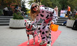 A woman dressed like her dalmatian poses for a photo during the Washington Square Park Hal...