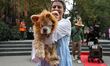 A woman and her dog dress as characters from the Wizard of Oz and pose for a photo during...