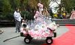 These Pomeranians dress as fairy tale princesses and pose for a photo during the Washingto...