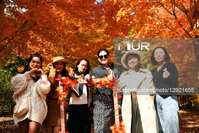 Blooming Maple Leaves