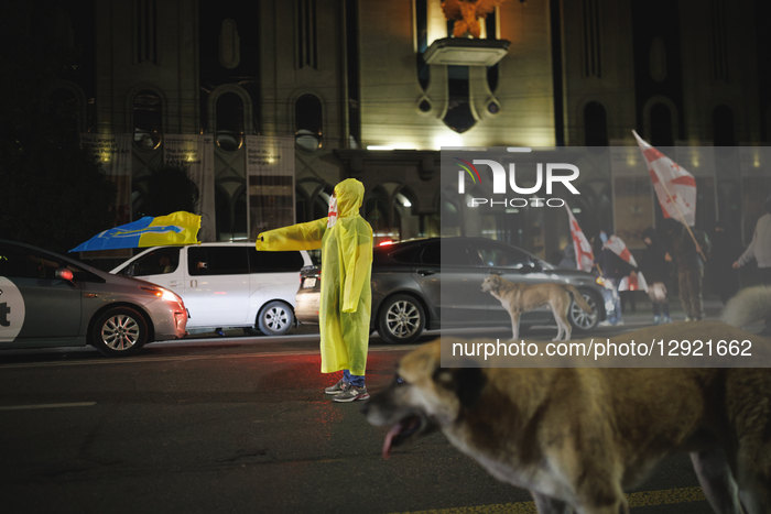  335th Day Of Continuous Protest In Tbilisi, Georgia