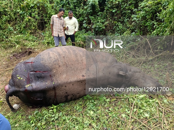Villagers stand near the carcass of a one-horned rhinoceros that is found near a tea garden in the Silghat area of Kallabor in Nagaon Distri... by Anuwar Hazarika/NurPhoto