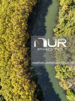 Tourists stroll along the blooming paulownia avenue by the Huaxi River in Guiyang, China, on October 28, 2025.  by Costfoto/NurPhoto