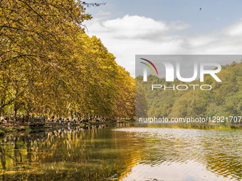 Tourists stroll along the blooming paulownia avenue by the Huaxi River in Guiyang, China, on October 28, 2025.  by Costfoto/NurPhoto