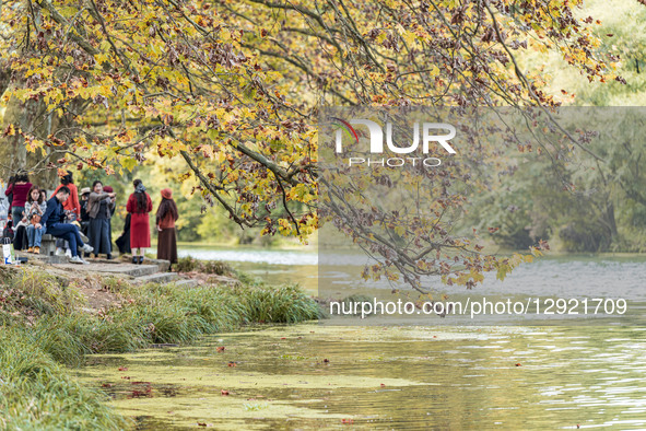 Tourists stroll along the blooming paulownia avenue by the Huaxi River in Guiyang, China, on October 28, 2025.  by Costfoto/NurPhoto