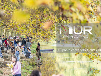 Tourists stroll along the blooming paulownia avenue by the Huaxi River in Guiyang, China, on October 28, 2025.  by Costfoto/NurPhoto