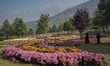 Veiled Kashmiri Muslim women take pictures at the newly opened Chrysanthemum Garden in Sri...