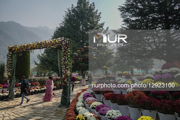Indian tourists visit the newly opened Chrysanthemum Garden in Srinagar, Jammu and Kashmir, on October 29, 2025. Chrysanthemum flowers, loca... by Firdous Nazir/NurPhoto