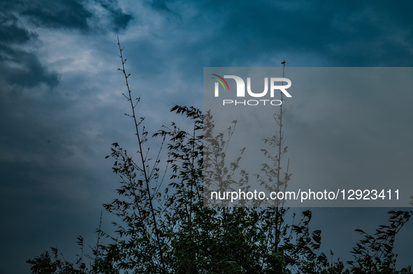 Dark clouds and strong winds sweep across Tehatta in West Bengal as Cyclone Montha intensifies over the Bay of Bengal, prompting heavy rain... by Soumyabrata Roy/NurPhoto