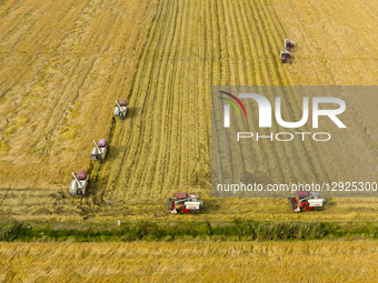 Farmers drive machines to harvest rice in the fields in Sihong County, Suqian City, Jiangsu Province, China, on October 30, 2025.  by Costfoto/NurPhoto