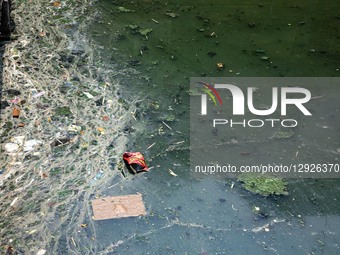 Floating garbage and thick layers of algae cover the surface of the Duri River at Tanjung Selor Street in Central Jakarta, Indonesia, on Oct... by Donal Husni/NurPhoto