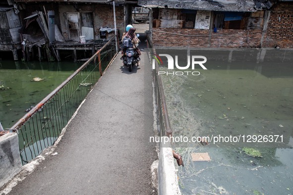 A student rides a motorcycle across a narrow bridge above the polluted Duri River at Tanjung Selor Street in Central Jakarta, Indonesia, on... by Donal Husni/NurPhoto