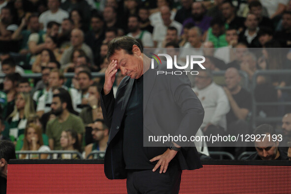 Ergin Ataman is present during the EuroLeague match between Panathinaikos and Maccabi Tel Aviv in Athens, Greece, on October 28, 2025.  by Giorgos Arapekos/NurPhoto