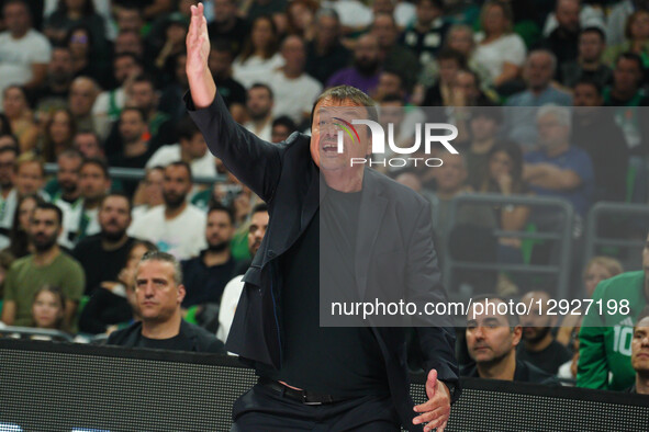 Ergin Ataman is present during the EuroLeague match between Panathinaikos and Maccabi Tel Aviv in Athens, Greece, on October 28, 2025.  by Giorgos Arapekos/NurPhoto