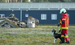 A canine handler with a search-and-rescue dog participates in a demonstration at the train...