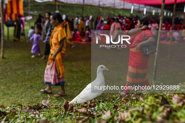 Christian devotees attend a Marian pilgrimage at the Mary, Queen of Fatima, Shrine at St. Leo's Church in Nalitabari, Sherepur, Bangladesh,... by Zabed Hasnain Chowdhury/NurPhoto