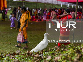 Christian devotees attend a Marian pilgrimage at the Mary, Queen of Fatima, Shrine at St. Leo's Church in Nalitabari, Sherepur, Bangladesh,... by Zabed Hasnain Chowdhury/NurPhoto