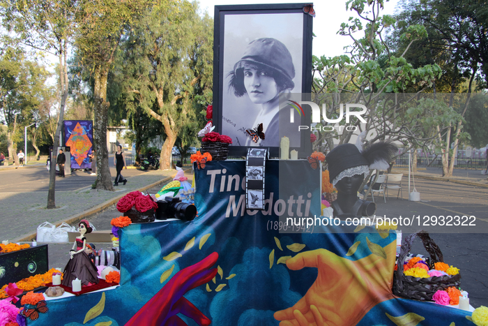 Mega Offering For The Day Of The Dead In Mexico City