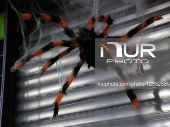 A spider decoration for Halloween is seen in Mexico City, Mexico, on October 31, 2025.  by Jose Luis Torales/NurPhoto