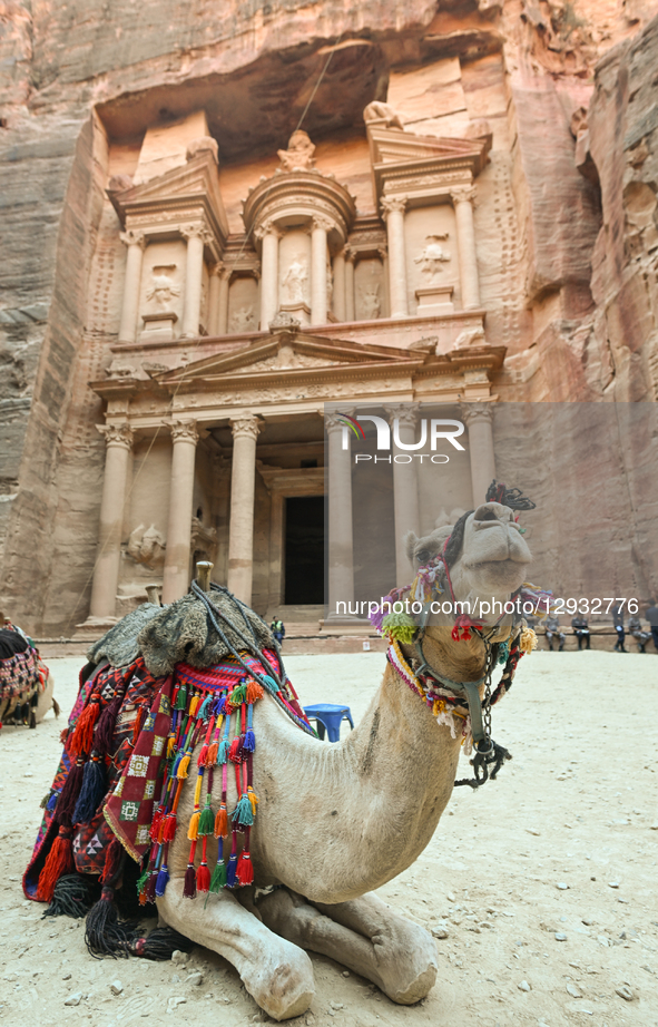PETRA, JORDAN – OCTOBER 26:
A camel sits near Al-Khazneh (the Treasury), the most iconic monument of the ancient Nabataean city of Petra, in... by STR/NurPhoto
