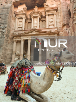 PETRA, JORDAN – OCTOBER 26:
A camel sits near Al-Khazneh (the Treasury), the most iconic monument of the ancient Nabataean city of Petra, in... by STR/NurPhoto