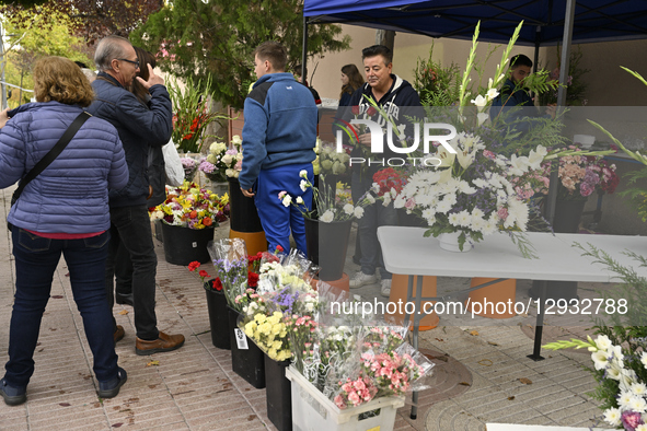 In San Sebastian de los Reyes, Madrid, Spain, on November 1, 2025, All Saints' Day is celebrated every November 1st. People go to cemeteries... by Tomas Calle/NurPhoto