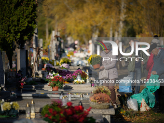 Visitors are seen at the Brodno Cemetery in Warsaw, Poland on 01 November, 2025.  by Jaap Arriens/NurPhoto