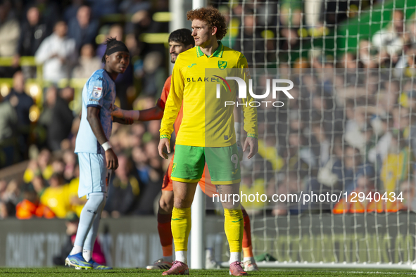 Josh Sargent of Norwich City plays during the Sky Bet Championship match between Norwich City and Hull City at Carrow Road in Norwich, Engla... by MI News/NurPhoto