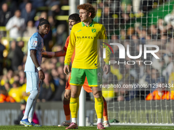 Josh Sargent of Norwich City plays during the Sky Bet Championship match between Norwich City and Hull City at Carrow Road in Norwich, Engla... by MI News/NurPhoto