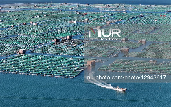 Marine ranches consist of cage culture in Yantai City, Shandong Province, China, on October 27, 2025.  by Costfoto/NurPhoto