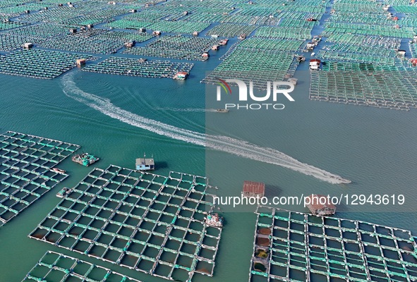 Marine ranches consist of cage culture in Yantai City, Shandong Province, China, on October 27, 2025.  by Costfoto/NurPhoto
