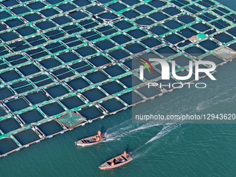 Marine ranches consist of cage culture in Yantai City, Shandong Province, China, on October 27, 2025.  by Costfoto/NurPhoto