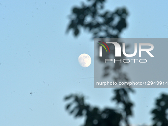 The Moon rises in the sky in Siliguri, India, on November 3, 2025.  by Diptendu Dutta/NurPhoto