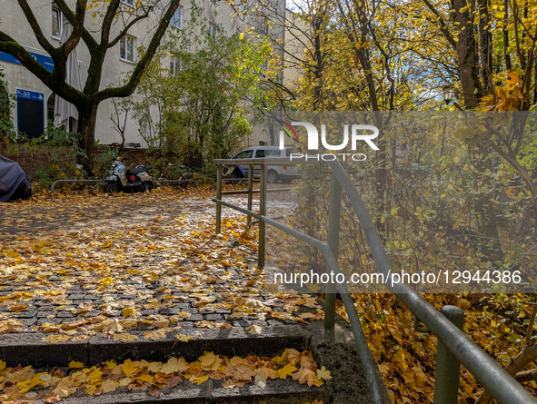 Fallen yellow leaves cover the ground and stone stairs in a quiet residential area in Munich, Bavaria, Germany, on November 3, 2025. The sce... by Michael Nguyen/NurPhoto