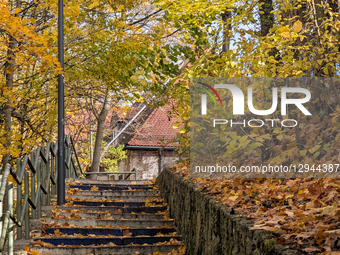 Fallen yellow leaves cover the ground and stone stairs in a quiet residential area in Munich, Bavaria, Germany, on November 3, 2025. The sce... by Michael Nguyen/NurPhoto