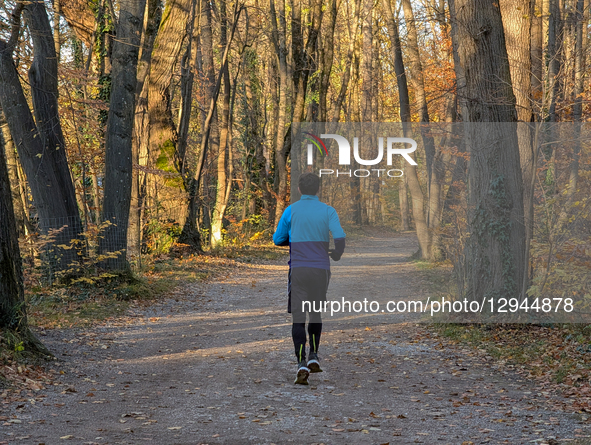A man wearing a blue and purple athletic shirt runs away from the camera on a dirt path through a forest displaying autumn foliage in Munich... by Michael Nguyen/NurPhoto