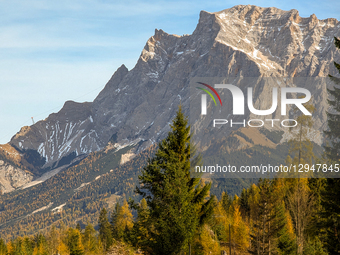 The rugged peaks of the Zugspitze massif, part of the Wetterstein Mountains, are visible above forests displaying striking yellow and orange... by Michael Nguyen/NurPhoto
