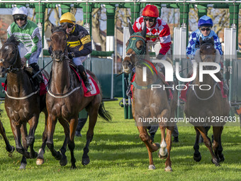 The starting blocks unfold and release the horses at the start of Race 4 - 13:55 REDCAR 1m 2f 1y racingtv.com/freetrial Handicap (GBBPlus Ra... by MI News/NurPhoto
