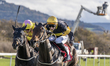 PROJECT GEOFIN, ridden by Ben Robinson and trained by Geoff R Oldroyd, and OBITO (IRE), ri...