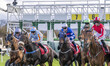 The starting blocks unfold and release the horses at the start of Race 5 - 14:25 REDCAR 1m...
